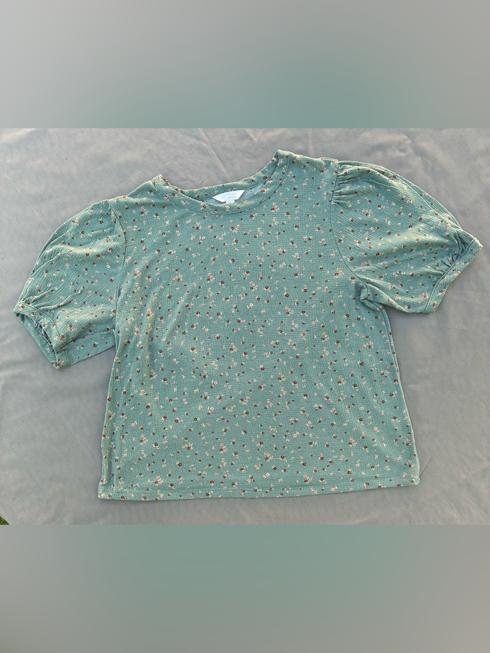 LC Lauren Conrad Mint Green Floral Ribbed Short Sleeve Tee
